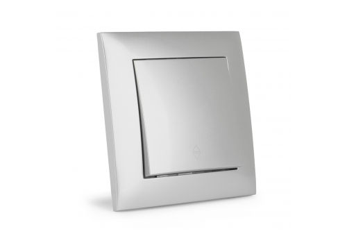 106 Arnold Unterputz-Alternativ-Wandschalter Silber