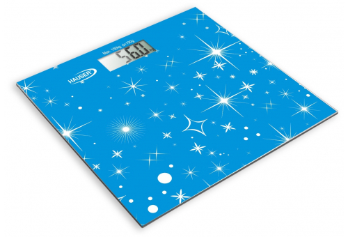 Hauser DPS-204 B weighing scale