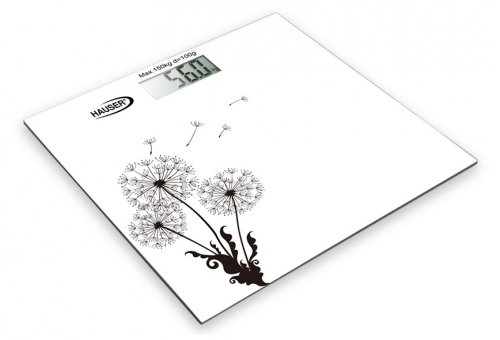 Hauser DPS-204 W weighing scale